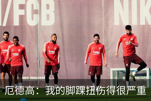 厄德高：我的脚踝扭伤得很严重